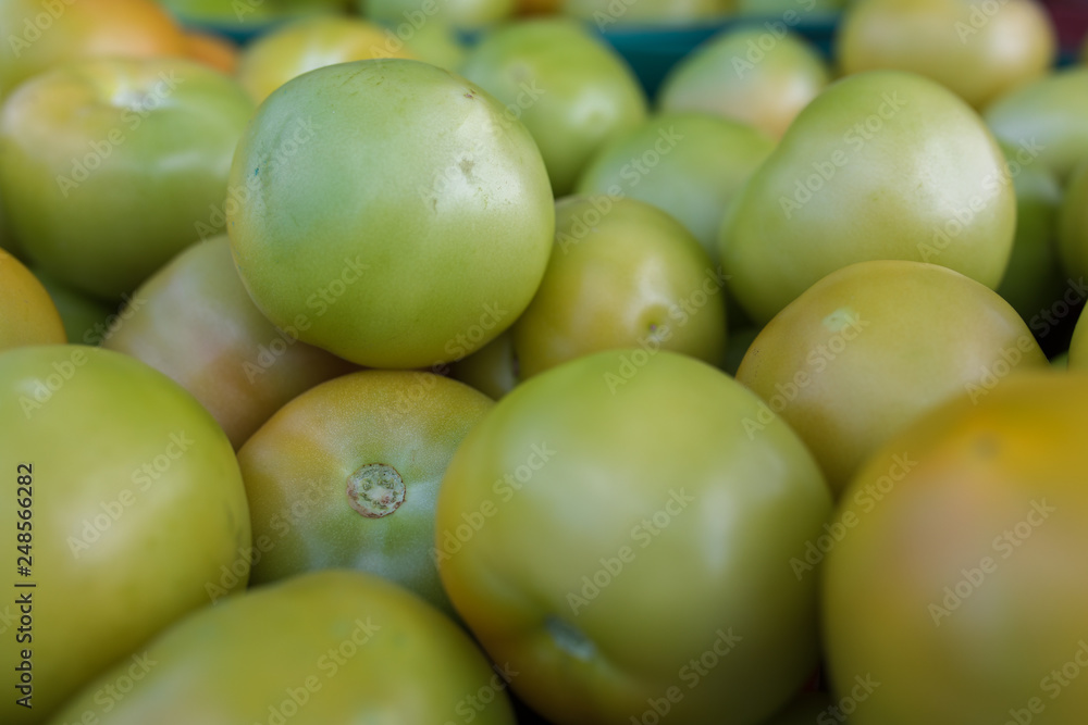 Organic green and red tomatoes in the basket Organic green and red tomatoes in the basket