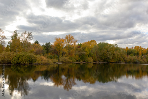 Forest lake landscape in autumn in cloudy weather