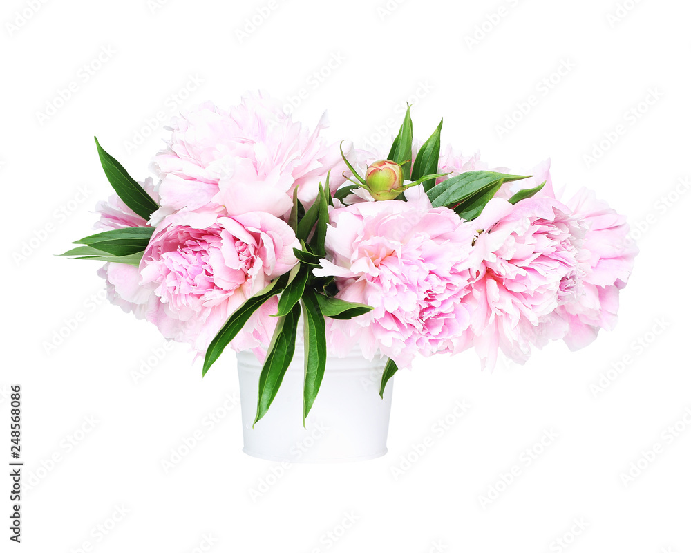 bouquet of fresh pink peonies in a white bucket. isolated object bouquet of fresh pink peonies in a white bucket. isolated object