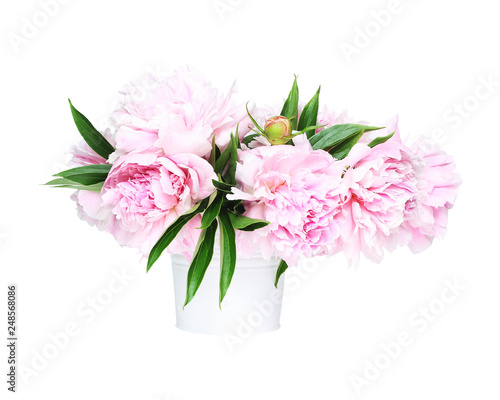 bouquet of fresh pink peonies in a white bucket. isolated object