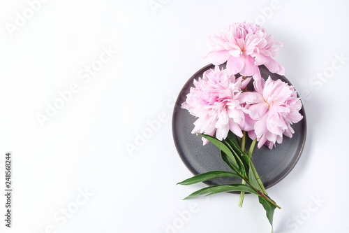 Beautiful fresh cut peony flowers lie on a gray dish. minimalistic composition on a white background, top view