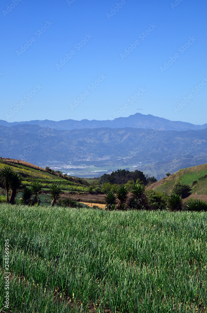 Fototapeta premium Mountains view