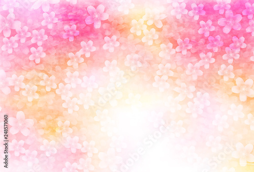 桜　春　花　背景