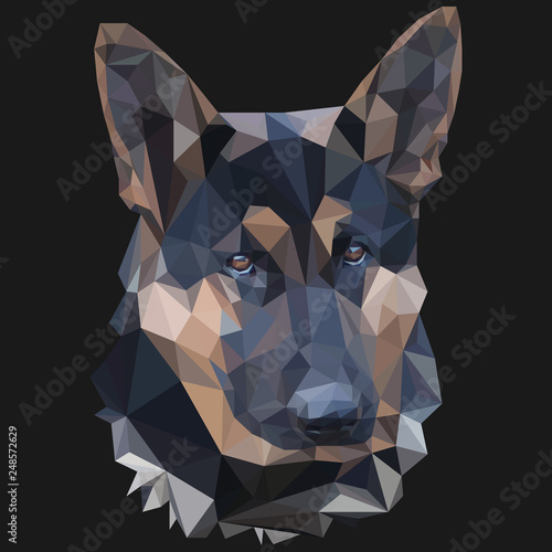  German shepherd low poly portrait