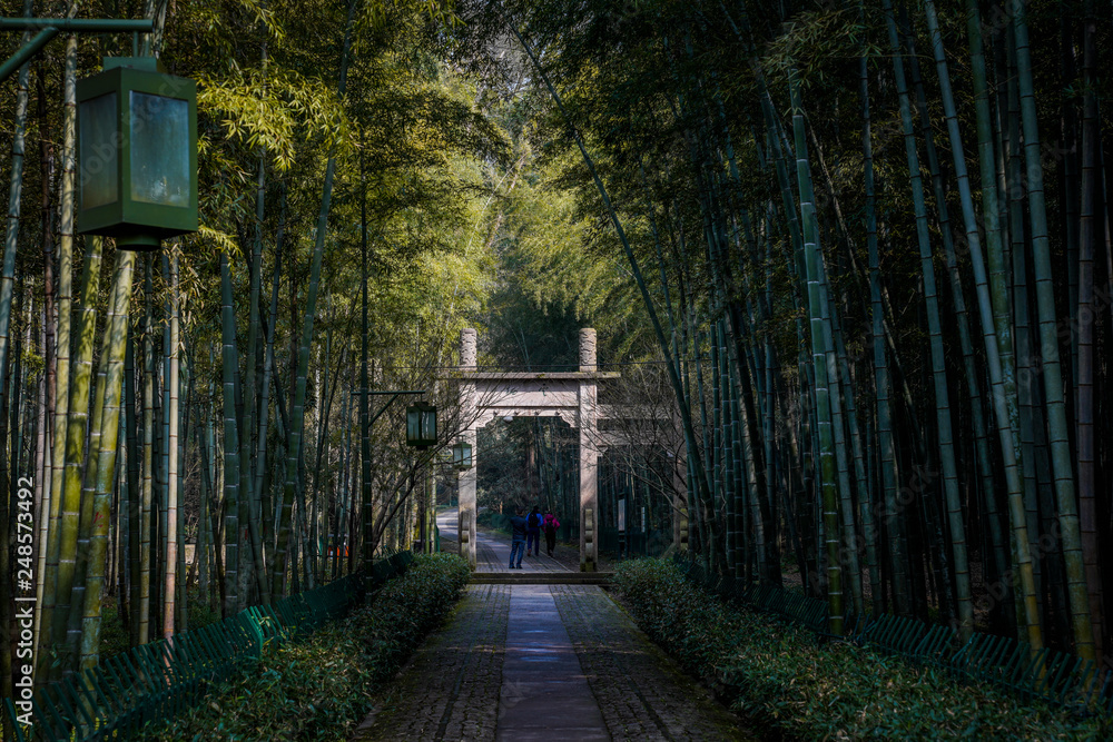Obraz premium Yunxi Bamboo Trail, Spring Outing