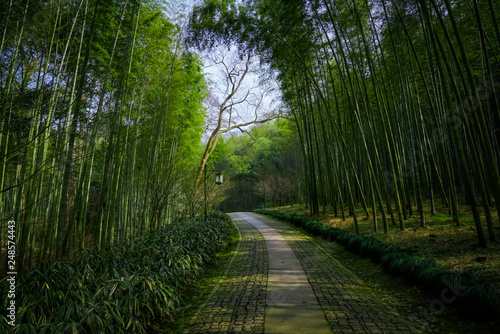Yunxi Bamboo Trail, Spring Outing