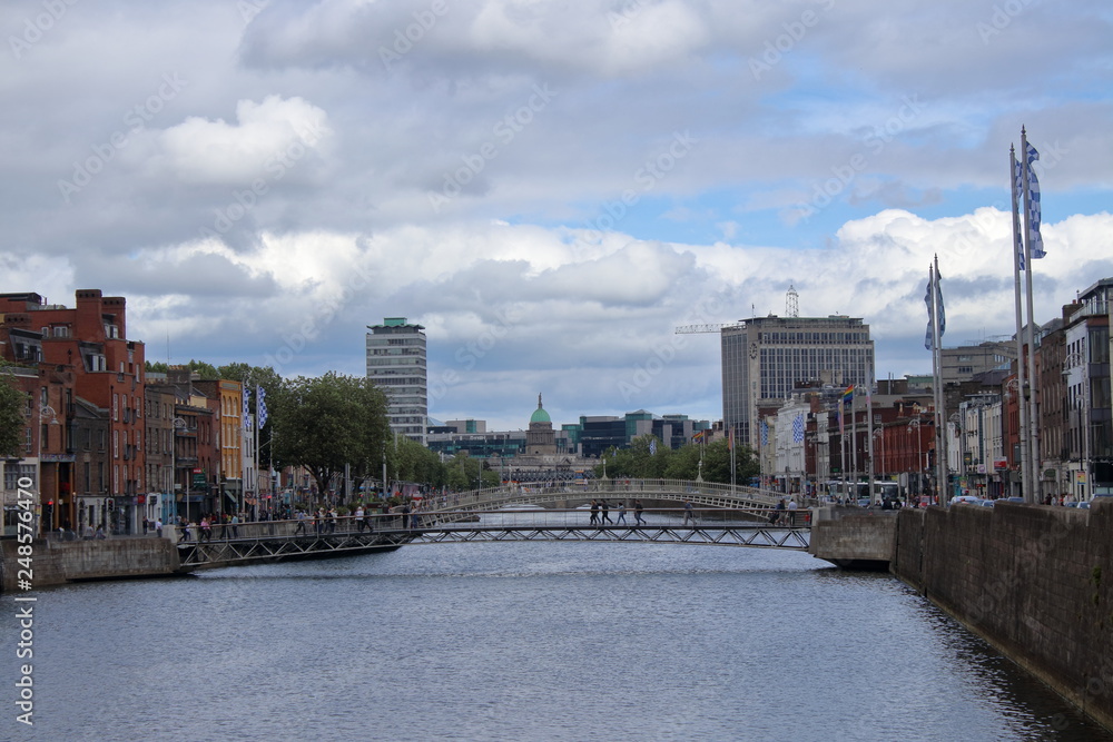 Naklejka premium natural history