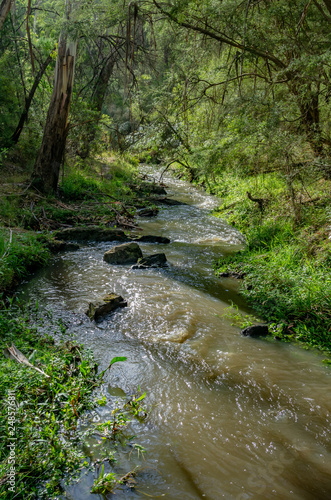 Andersons Creek vert