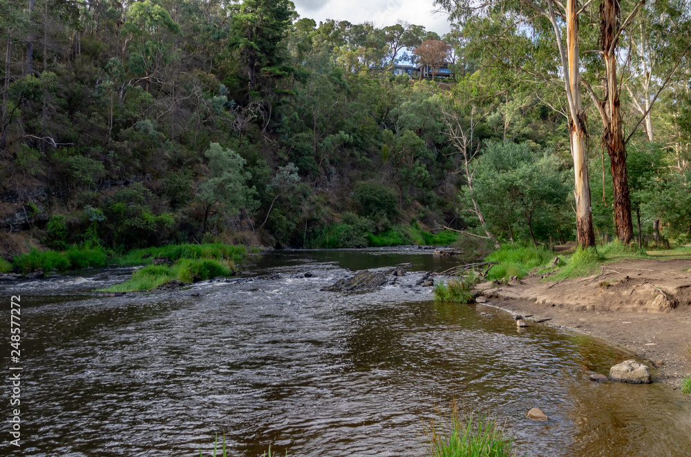 Naklejka premium Yarra Beach