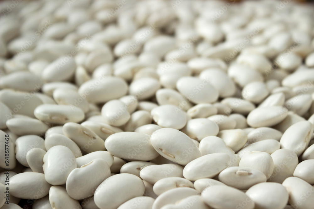 Lots of white large beans, background. Useful legumes