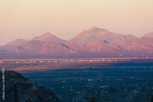 Landscape view of Saguaro National Park during the sunset near Tucson  Arizona.