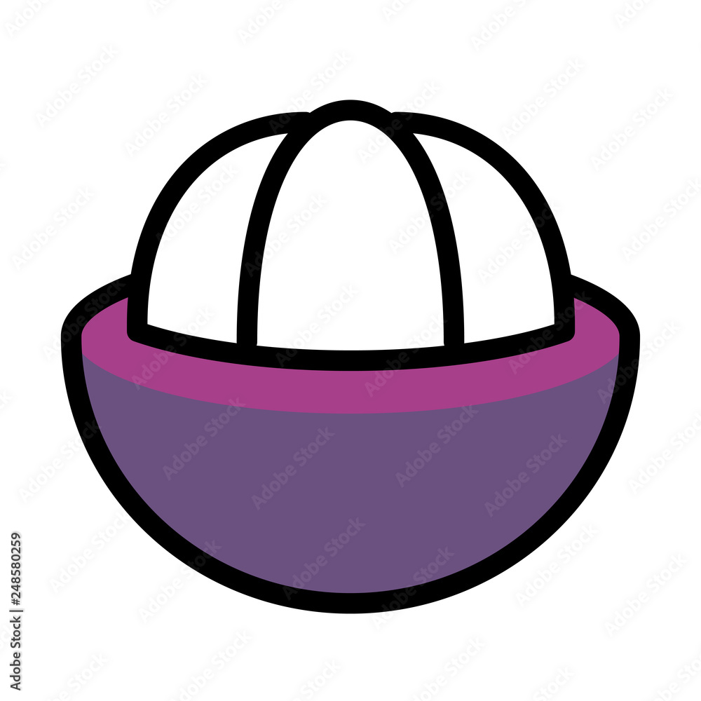 Half mangosteen LineColor illustration Half mangosteen LineColor illustration