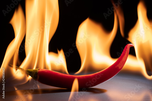 Hot and red pepper on fire flame
