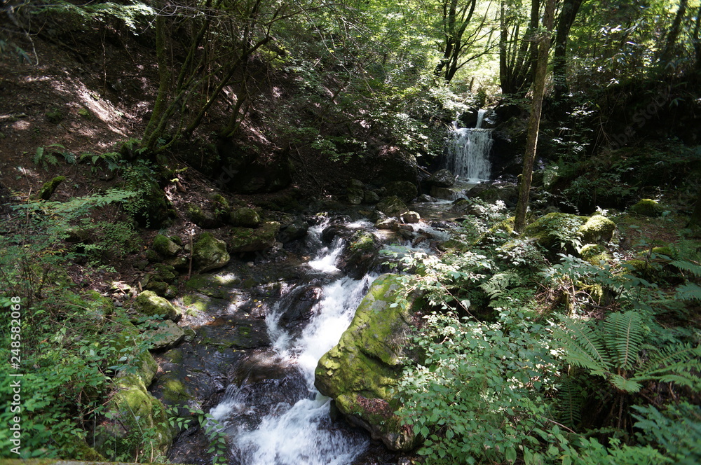 waterfall in forest