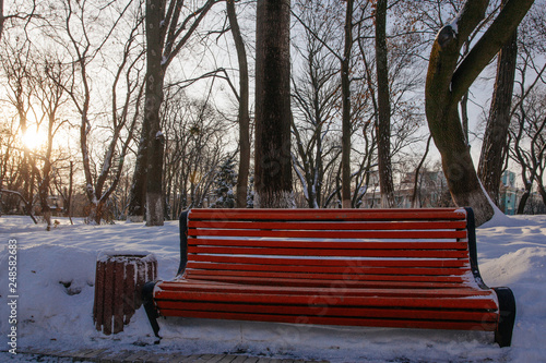 Alley in park  in winter time taken in Kyiv, Ukraine photo