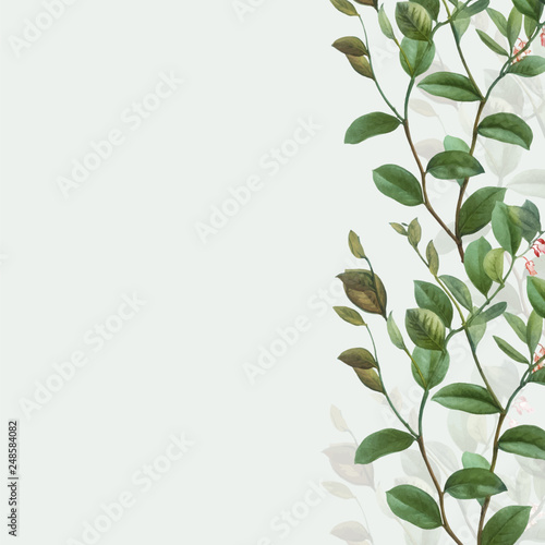 Green botanical frame
