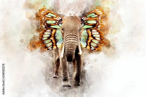 Obraz Słoń - akwarela ilustracyjny portret