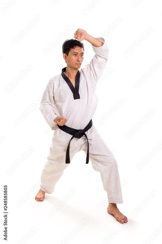 Defense stance, full body portrait, isolated background Defense stance, full body portrait, isolated background