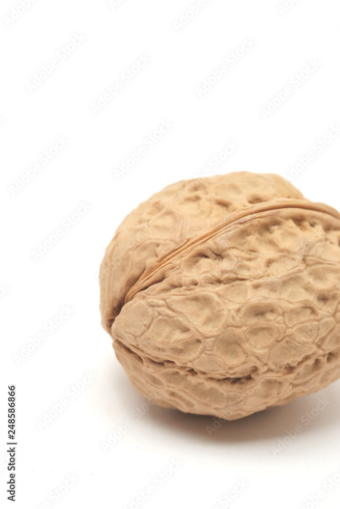 Walnut on a white scene Walnut on a white scene