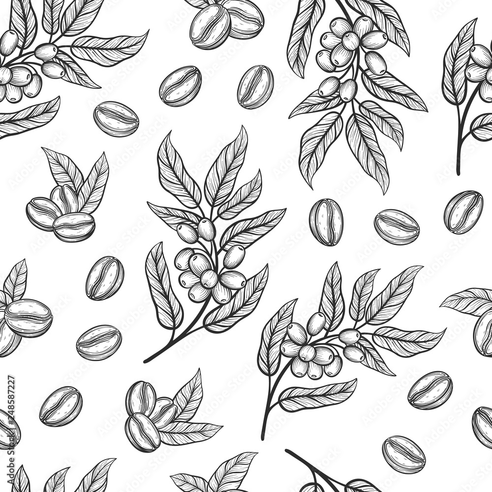 Seamless pattern with coffee tree branches with leaves and beans
