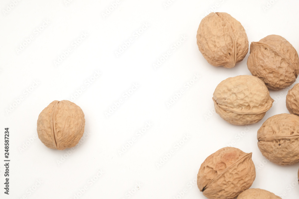 Walnut on a white scene Walnut on a white scene