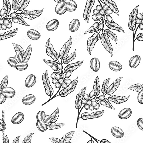 Seamless pattern with coffee tree branches with leaves and beans. Coffee grains in graphic style hand drawn. Vector illustration.
