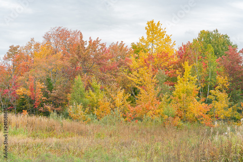 Some rural fall color landscape