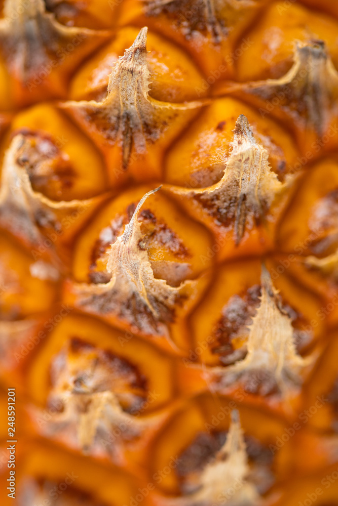 pineapple texture pineapple texture