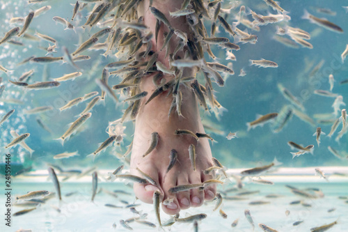 Photography Fish Spa pedicure with Rufa Garra