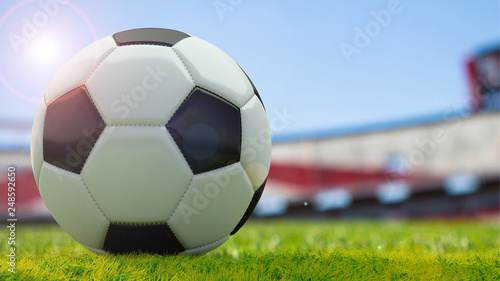 3d render Close up of Football on grass. sport background. © pramote
