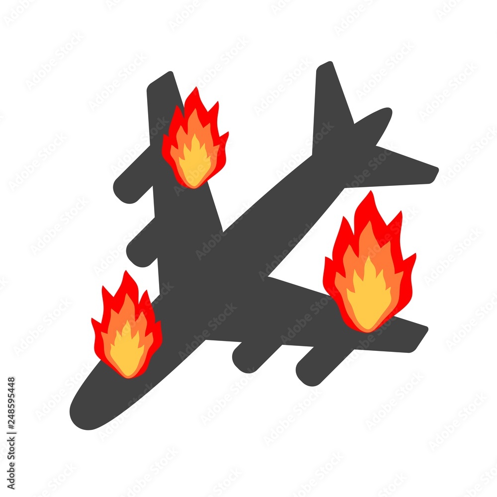 Fototapeta premium 飛行機事故