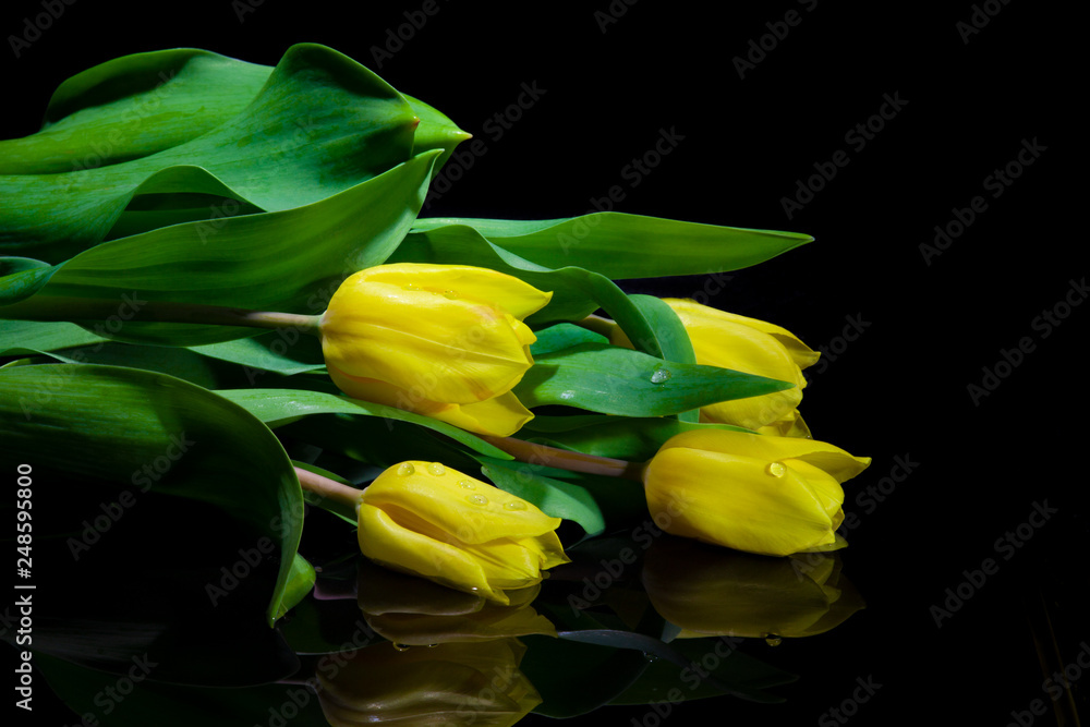 Obraz premium Yellow Tulip Bouquet