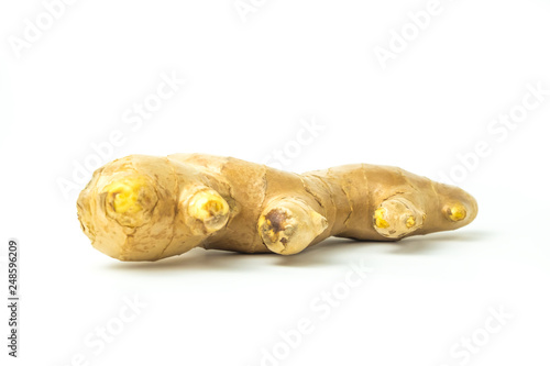 Ginger fresh isolated is a rooted plant with medicinal properties and is the elixir. with vitamins on white background and clipping path. The name of science : Zingiber officinale Roscoe