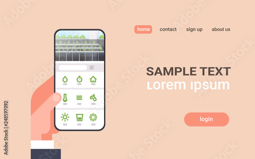hand holding smartphone using smart control farming system online mobile application organic hydroponic green plants row cultivation farm modern greenhouse horizontal copy space