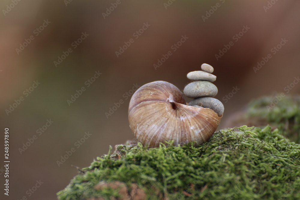 Obraz premium Schneckensteinhaus