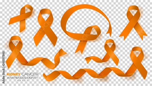 National Kidney Cancer Awareness Month. Orange Color Ribbon Isolated On Transparent Background. Set. Vector Design Template For Poster.
