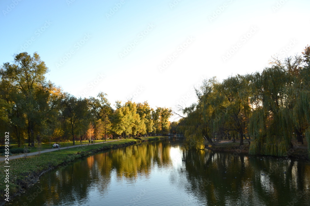 autumn in the park autumn in the park