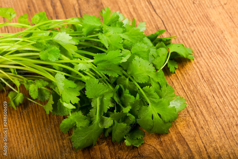 Coriander Coriander