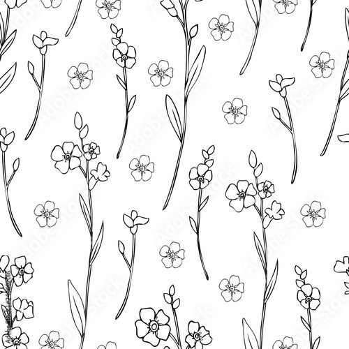 Seamless pattern Forget-me-not flowers vector illustration isolated on white background, ink sketch, decorative herbal doodle texture, line art for design medicine, wedding invite, floral cosmetic