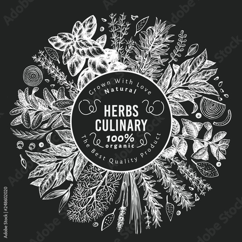 Culinary herbs and spices banner template. Vector background for design menu, packaging, recipes, label, farm market products. Hand drawn vintage botanical illustration on chalk board.