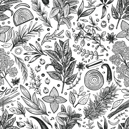 Culinary herbs and spices seamless pattern. Vector background for design menu, packaging, recipes, label, farm market products. Hand drawn vintage botanical illustration.