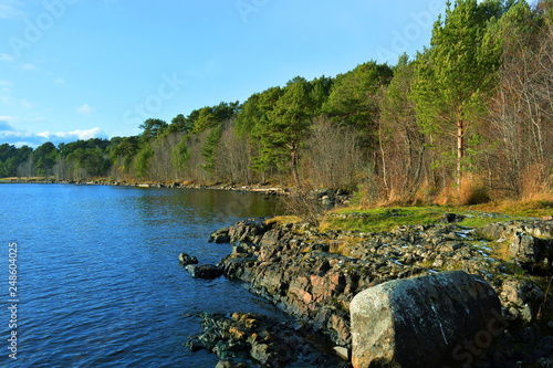 Coast of northern lake with boulders and pine forest in the sunset light.