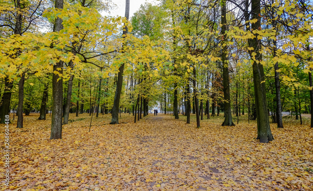Autumn park in St Petersburg, Russia