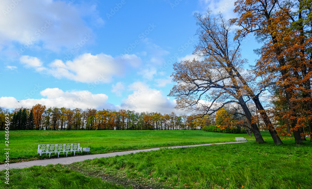 Fototapeta premium Autumn park in St Petersburg, Russia