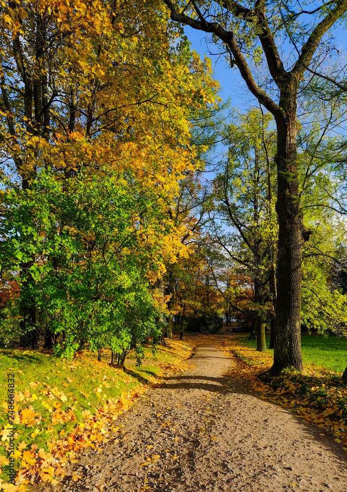 Autumn park in St Petersburg, Russia Autumn park in St Petersburg, Russia