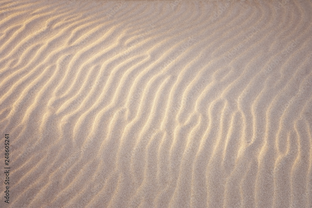 shapes in the sand shapes in the sand