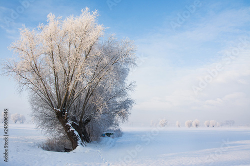 piękny zimowy krajobraz, oszronione drzewa
