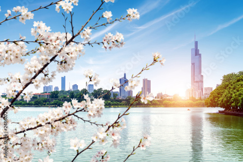 Nanjing Xuanwu Lake City View