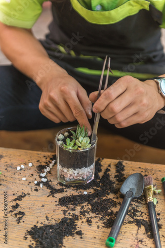 Vertical photo of young gardener planting mini succulent in a glass
