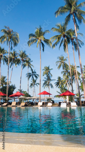 Palm trees under the sun